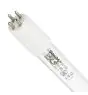 Philips T5 UV - C 20W - Ultra-violet | 43cm - 4 - Pin - UNP